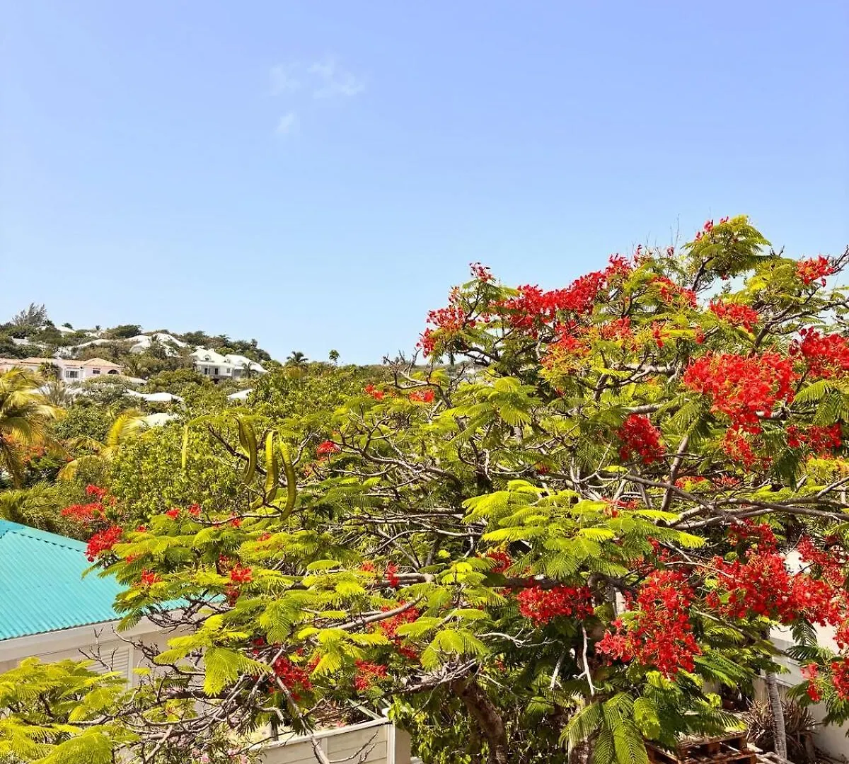 Apartmán L'Ecrin Flamboyant Orient Bay